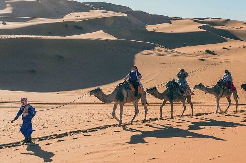 7 Days Luxury Desert Tour From Casablanca to Marrakech via fez -Camel trekking