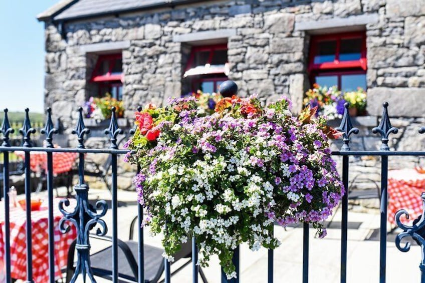 Caherconnell Fort & Sheepdog Demonstrations