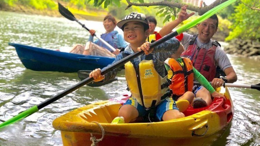 Enjoy nature! Mangrove kayak tour!