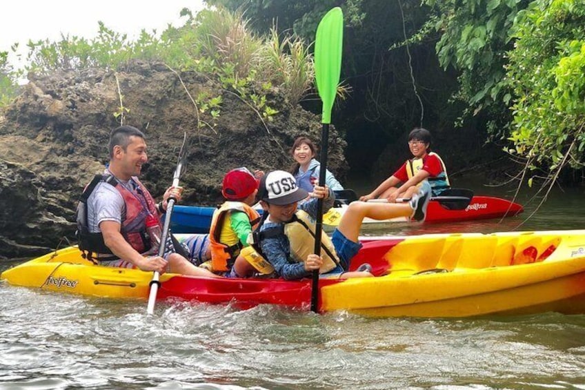 Enjoy nature! Mangrove kayak tour!