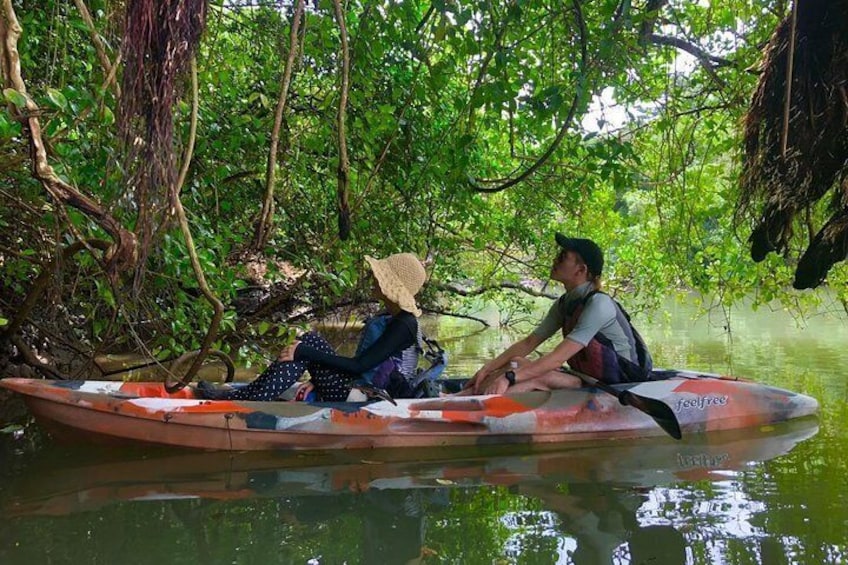 Enjoy nature! Mangrove kayak tour!
