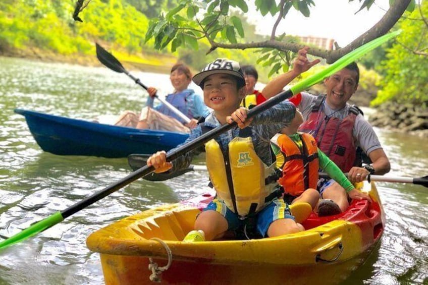 Enjoy nature! Mangrove kayak tour!