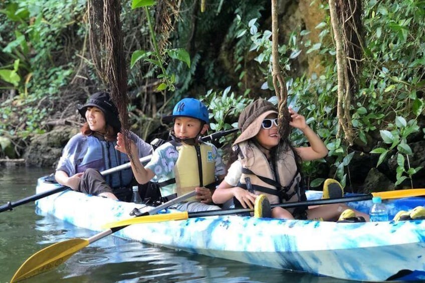 Enjoy nature! Mangrove kayak tour!