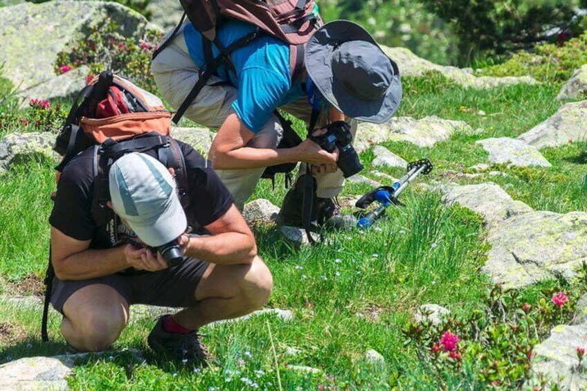 Taller de naturaleza del Moncayo