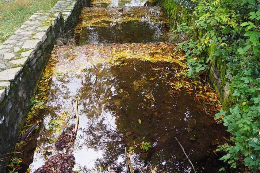 Taller de naturaleza del Moncayo