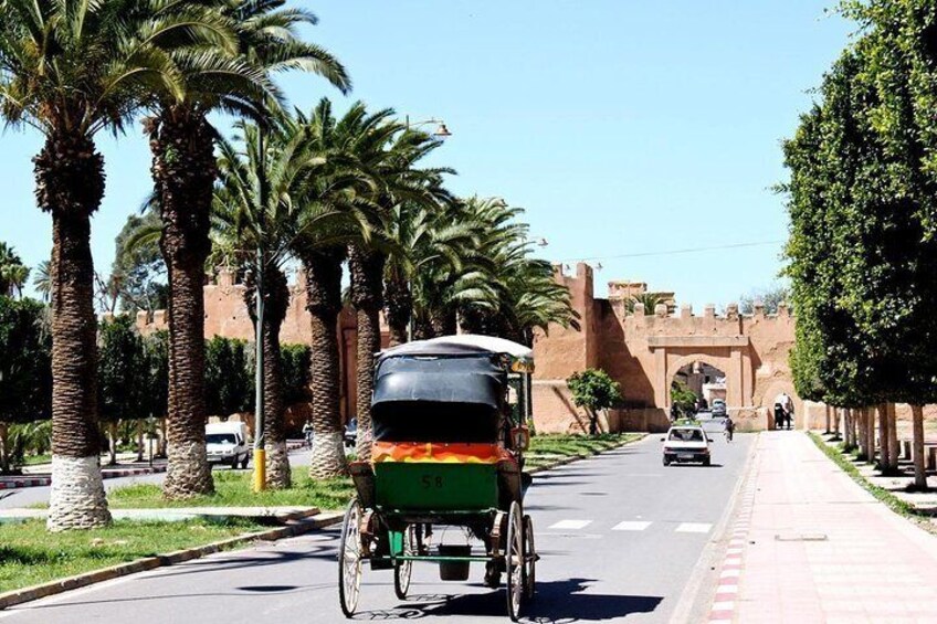 Excursion Taroudant and Tiout from Agadir 1day
