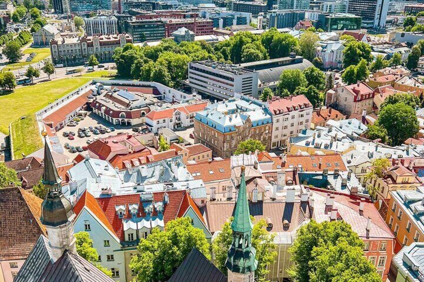 Luxury Day Trip to Tallinn with superior cabin VIP guide and lavish buffet