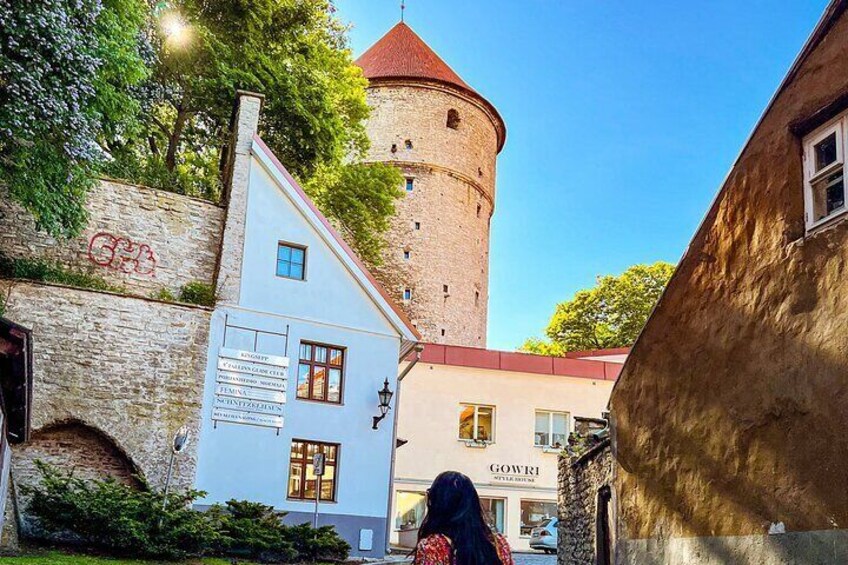 Luxury Day Trip to Tallinn with superior cabin VIP guide and lavish buffet