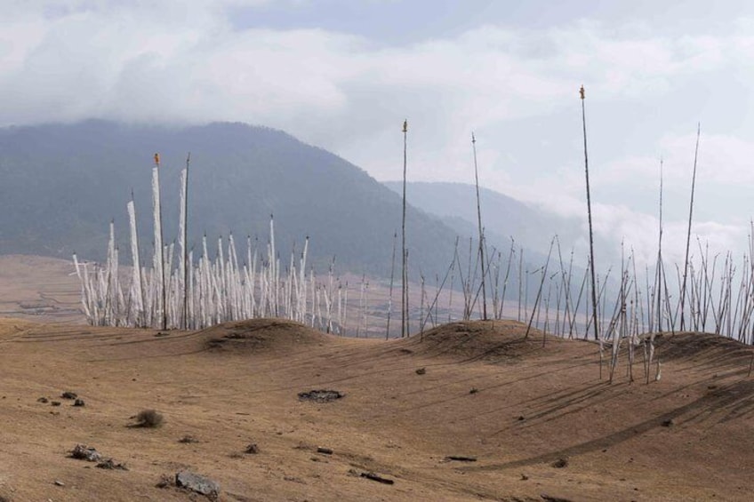 A Journey to the Center of Bhutan
