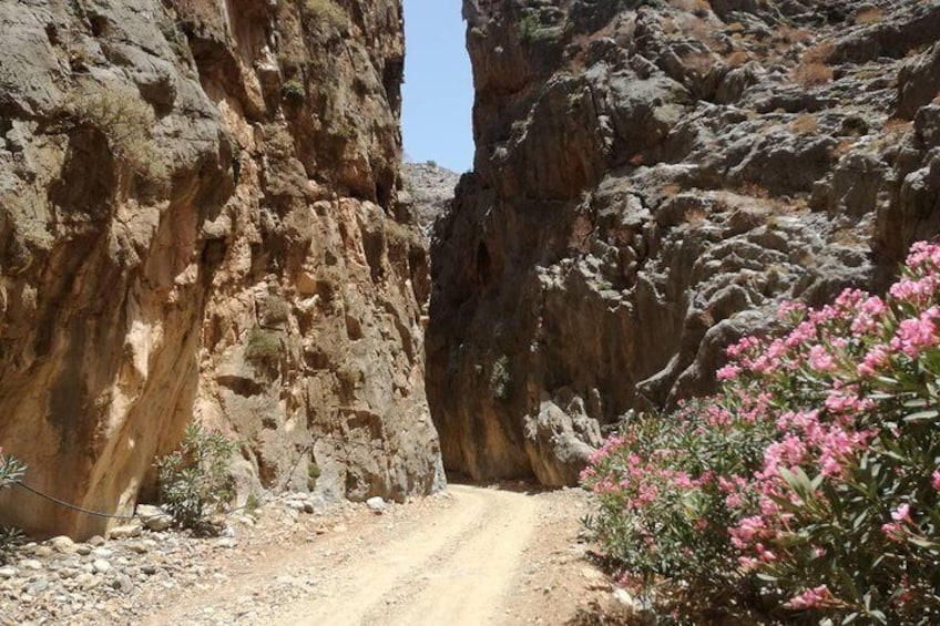 Tripitis Gorge Southern Crete