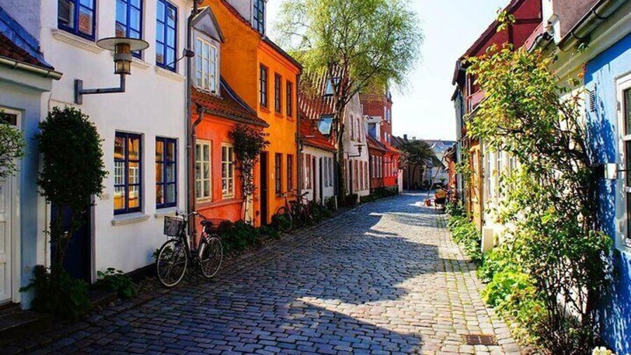 Private Shore Excursion: Highlights of Aarhus