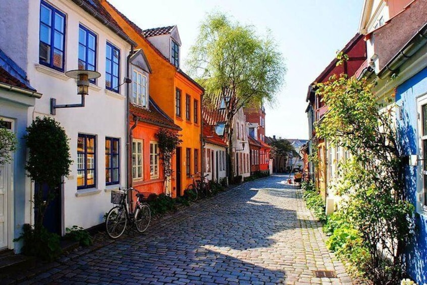 Private Shore Excursion: Highlights of Aarhus
