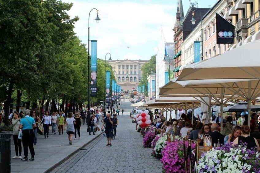 Private Shore Excursion: Oslo City Tour and Viking Ship Museum