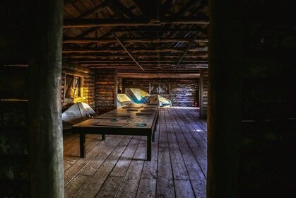 Cruises Shore Excursions: City Tour + Fort Bulnes