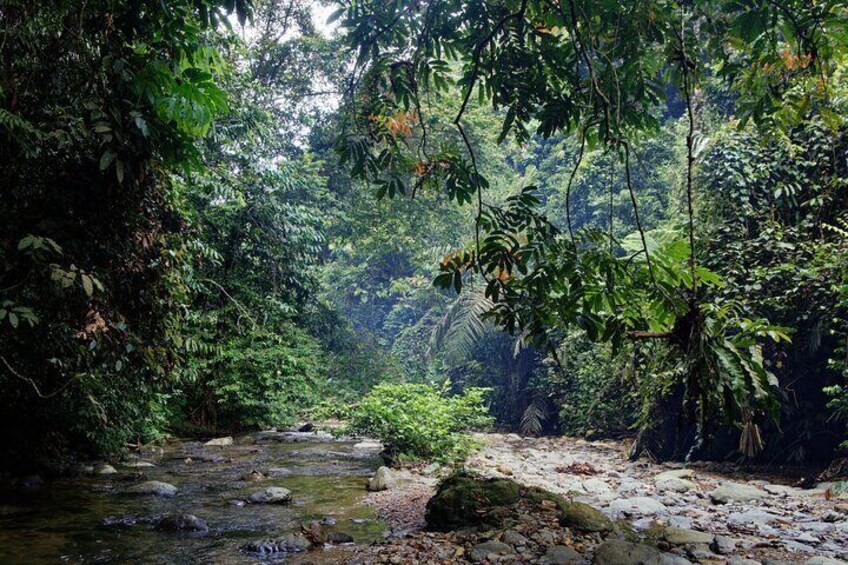 3 Days Bukit Lawang Tour (Happy Jungle)