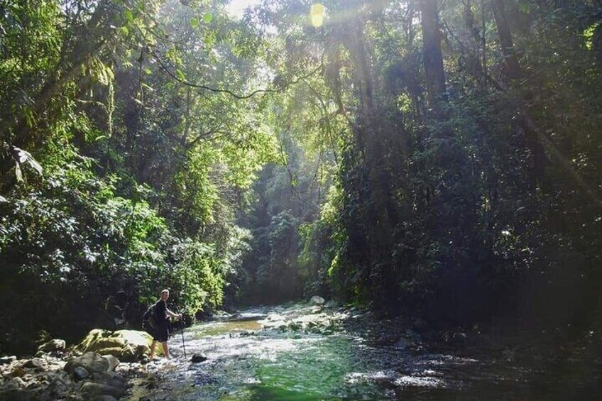 6 Days Bukit Lawang - Berastagi Tour (2D1N Jungle Treking + Sunrise Hiking)