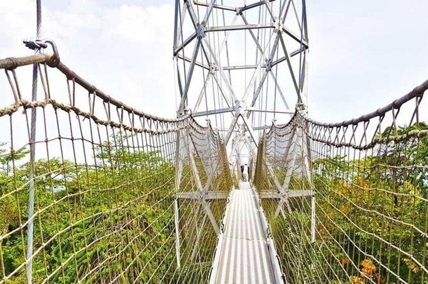 Show item 1 of 5. Lekki Conservation Center Extraordinary Tour