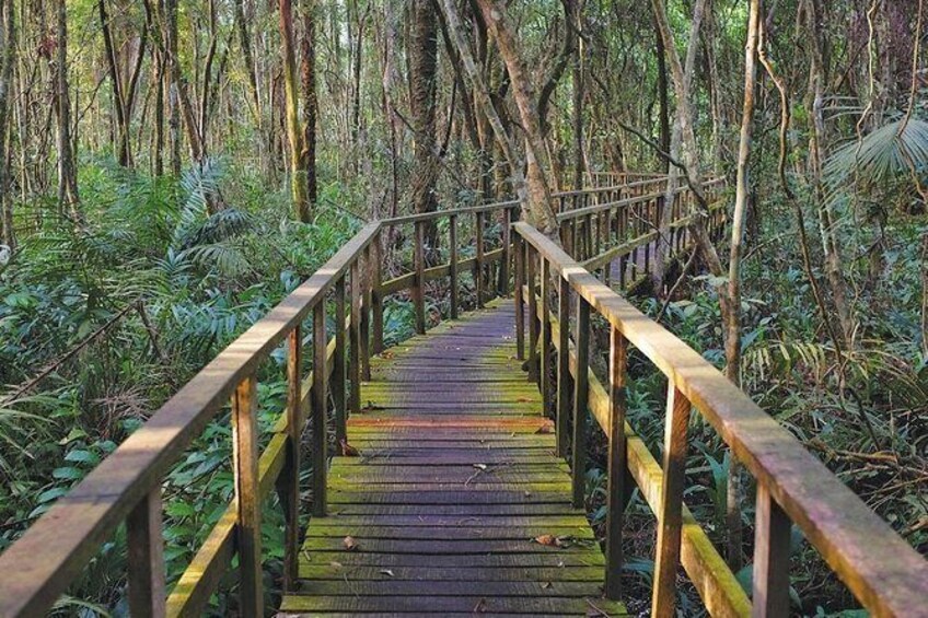 Show item 4 of 5. Lekki Conservation Center Extraordinary Tour