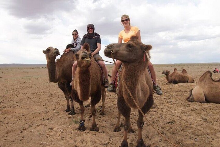 7 days Great Gobi Tour 