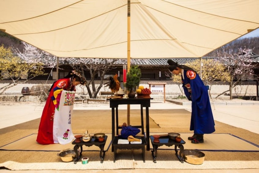 Korean Folk Village & Suwon Hwaseong Palace Tour