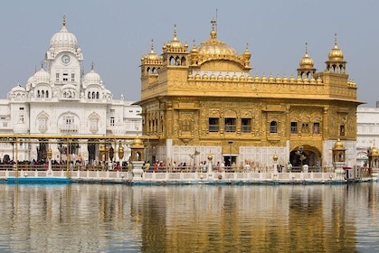 Full Day Golden Temple and Wagah Border Private Tour with Punjabi Lunch