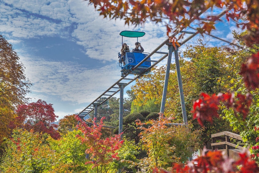 Nami Island & Petite France