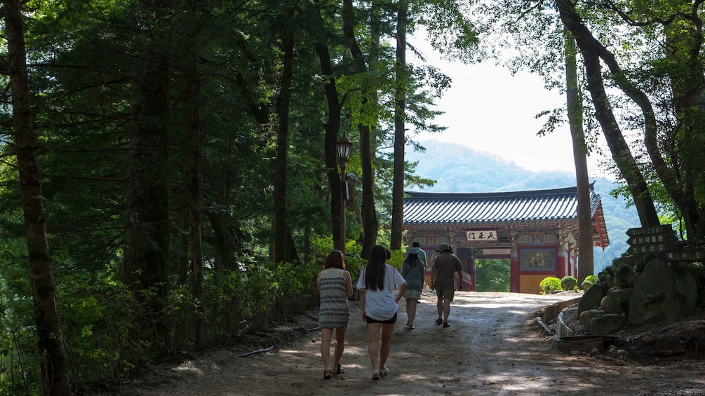Walking through a forest to a Buddhist Temple in Seoul