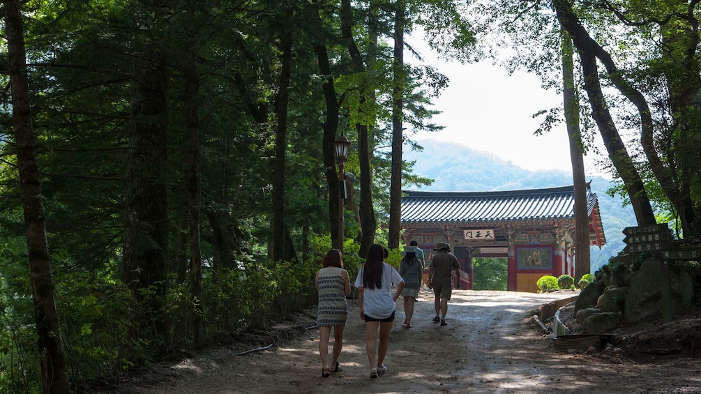 Show item 4 of 5. Walking through a forest to a Buddhist Temple in Seoul