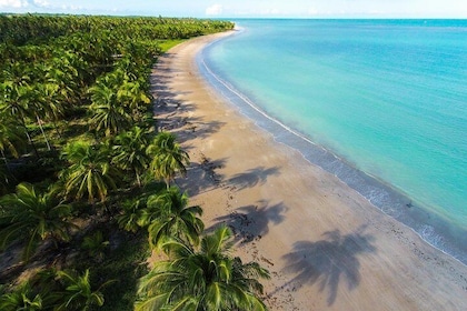 North Coast (Ipioca or Paripueira) (GTE tours)
