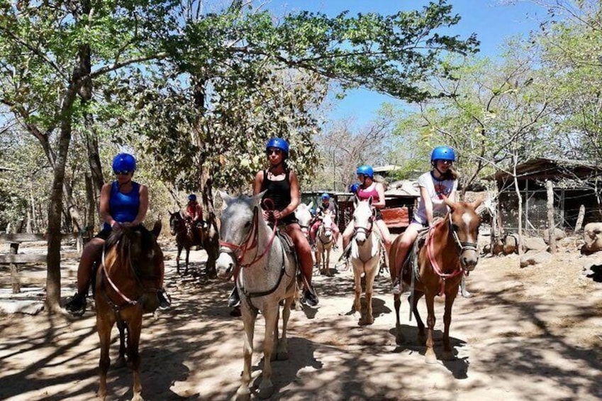 Horse back riding 