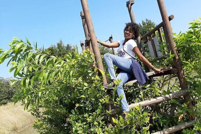 Nature and Wildlife Adventure In Lagos Nigeria