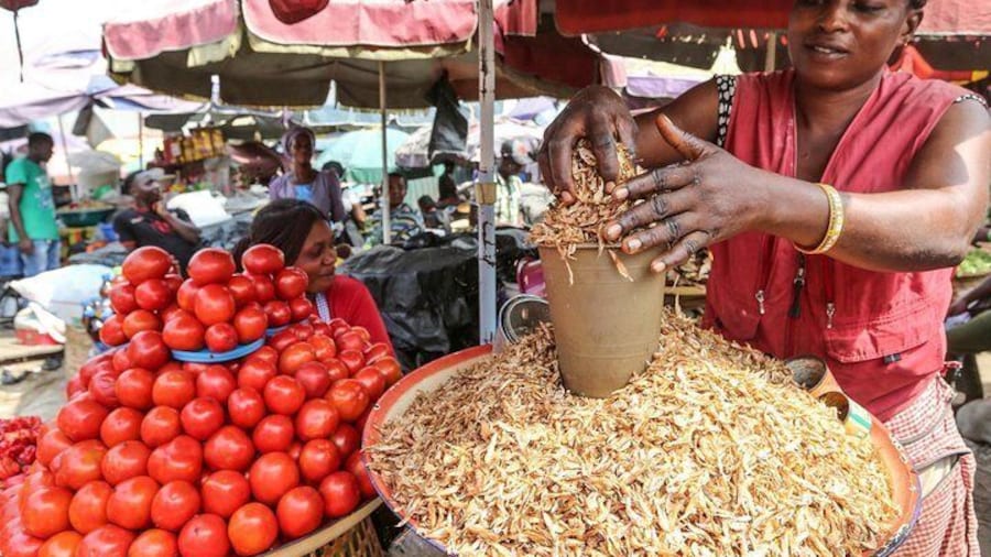 Guided Markets Tour in Lagos Nigeria