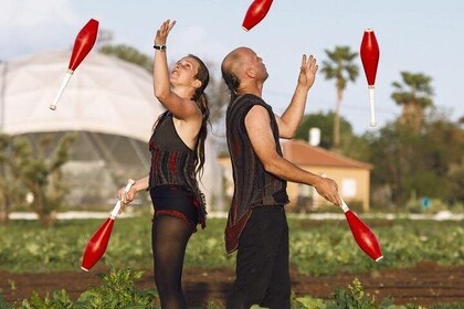 Israel Agricultural Circus Experience