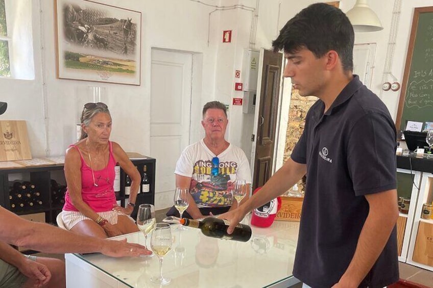 Monsaraz and Wine Wasting from Évora