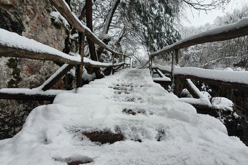 Plitvice guided tour- Tickets included