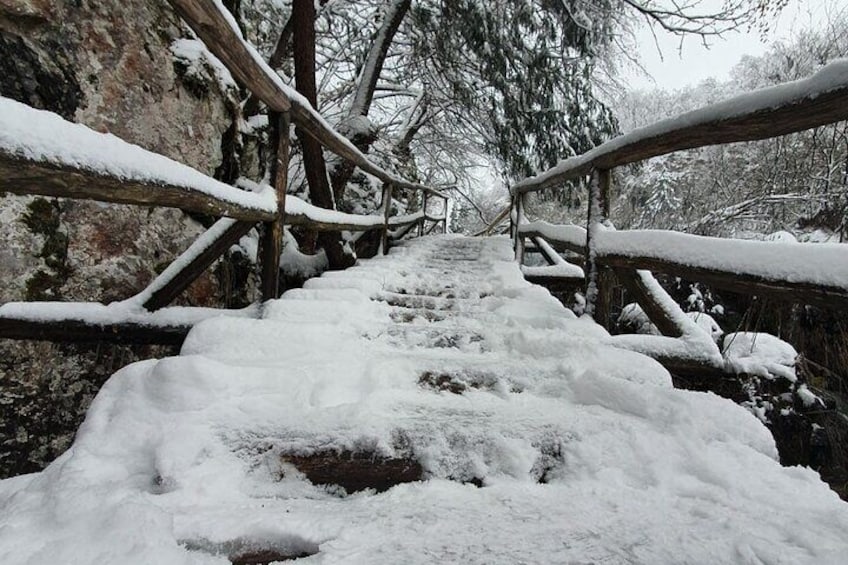 Plitvice guided tour- Tickets included