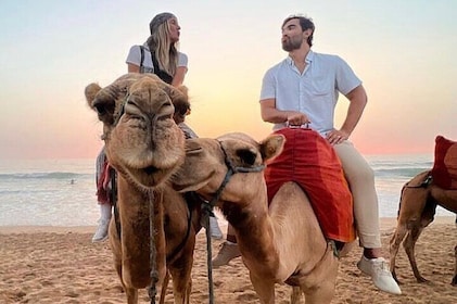 Tangier Package: Camel Ride, Cap Spartel, Hercules Caves & Dining