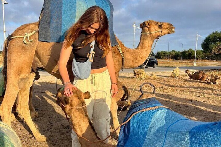 Inclusive Beach Camel Ride, Cap Spartel, Hercules & Full Dinner