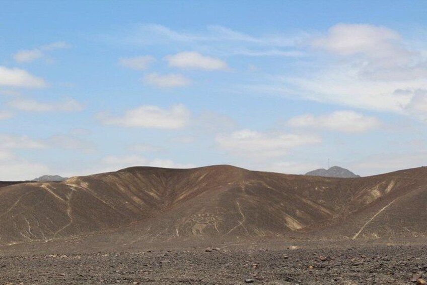 El Chaman geoglyph