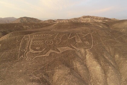 Nazca Lines Tour by Land