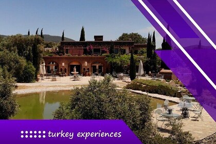 Bodrum’s Blue & Red : visite du musée sous-marin et des vignobles de Karnas