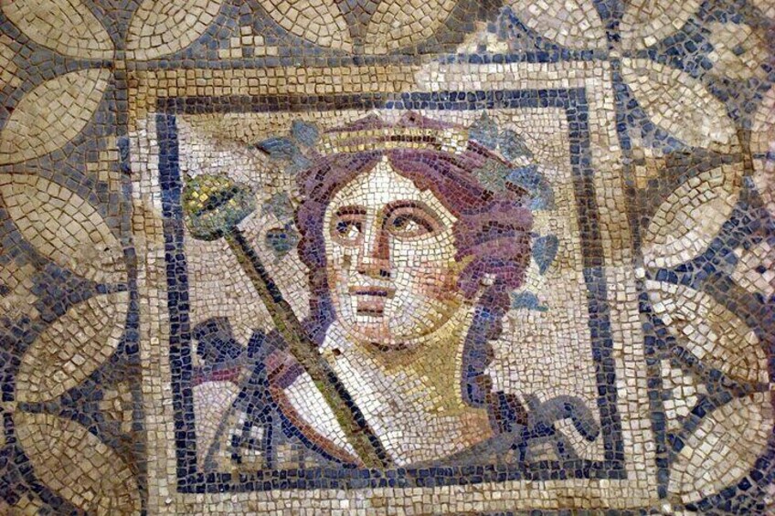 Tour to Archaeological Jewels of Ephesus - From Istanbul,Kusadasi,Selcuk,Izmir
