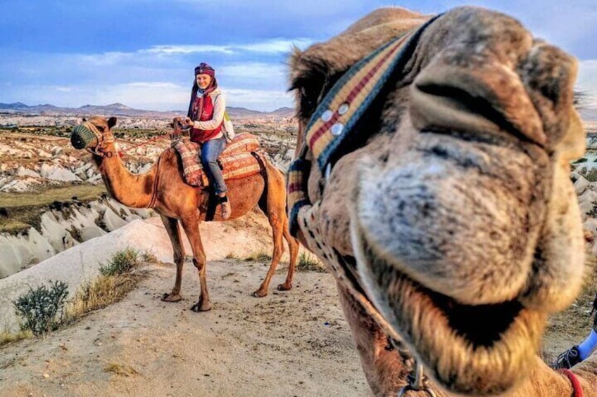 Camel Safari - Cappadocia Tours