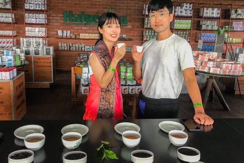 Uva Halpewatte Tea Factory Tour in Ella Sri Lanka