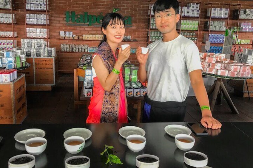 Uva Halpewatte Tea Factory Tour in Ella Sri Lanka