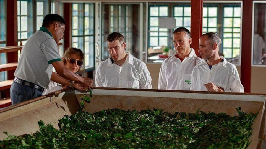 Every tea tour is conducted by an well trained and experienced staff