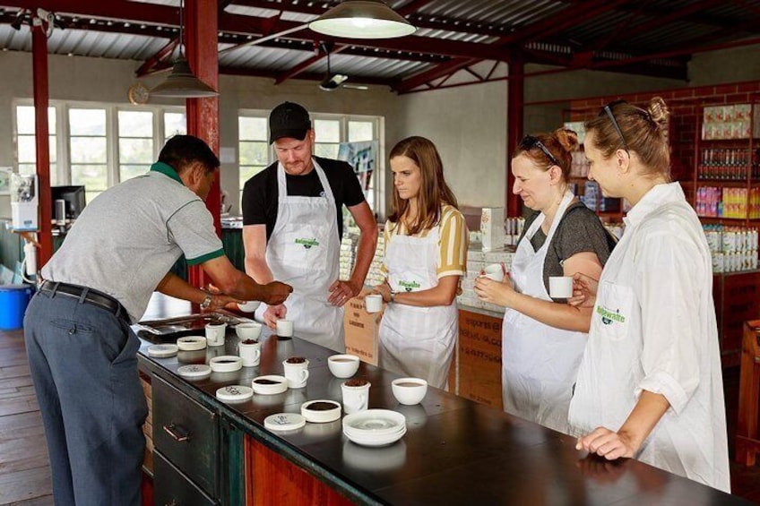 Tea tasting session at the end of every tea tour