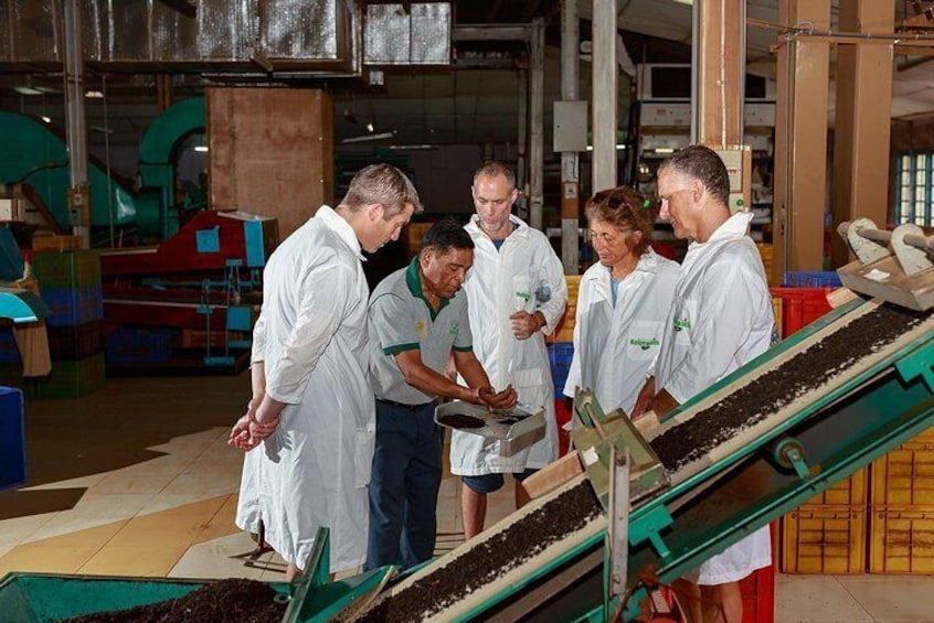 Every tea tour is conducted by an well trained and experienced staff