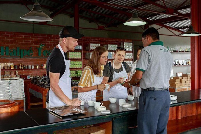 Tea tasting session where you will learn how to taste a perfect cup of tea. 