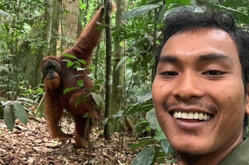 Full-Day Orangutans Adventure in Gunung Leuser